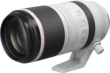 Canon RF100-500mm F4.5-7.1 L is USM Lens